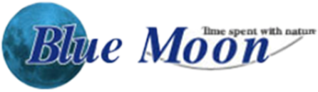 パパビルド/YORKIE